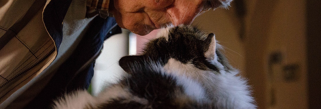 Kot mnie liże – jakie są ku temu powody?