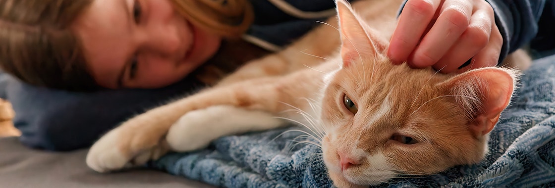 Nastolatka leży obok rudego kota i głaszcze go po głowie