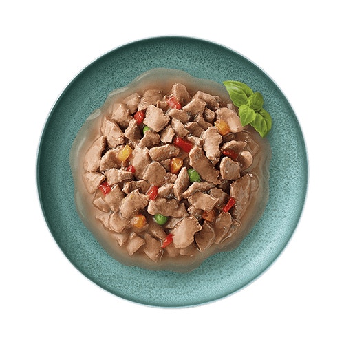 perfect portions plate