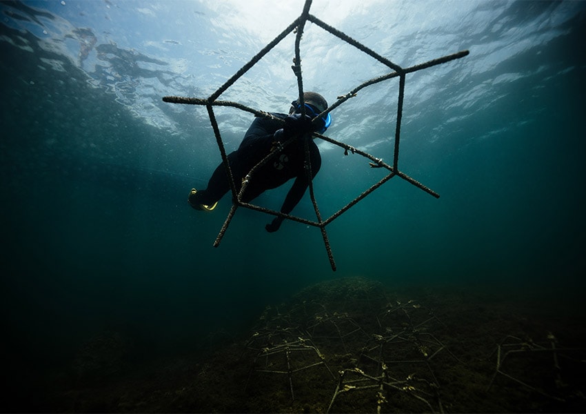 JAK TO SIĘ ZACZĘŁO