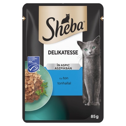 Delicacy z Tuńczykiem w galaretce