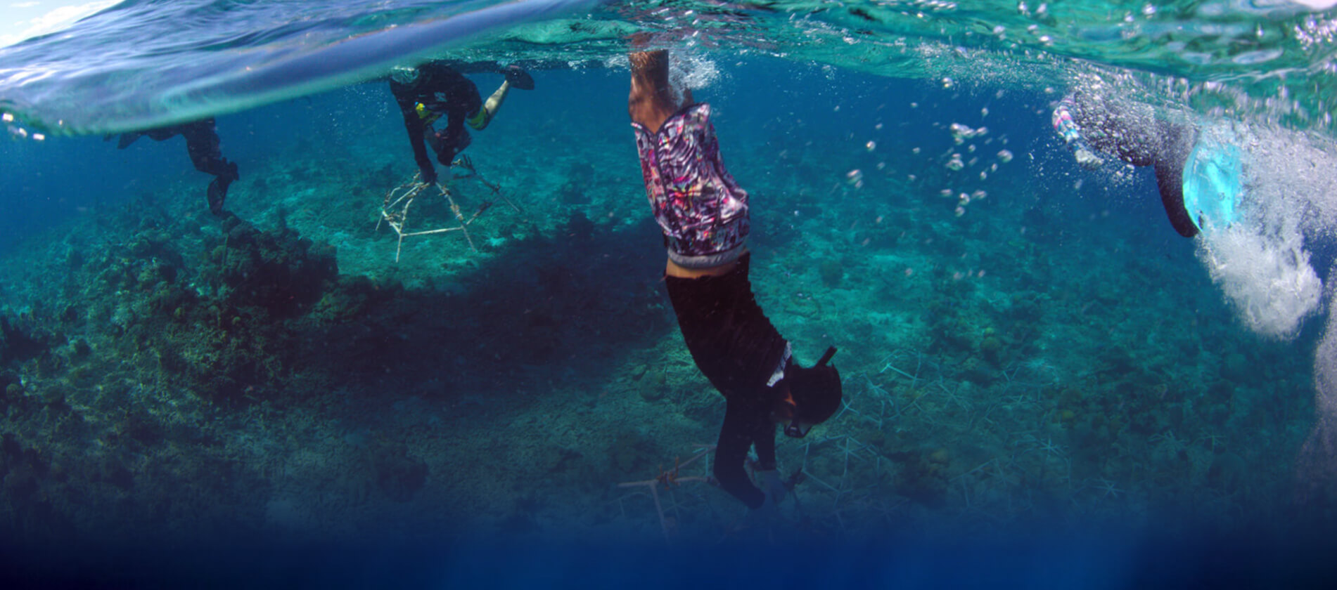Ludzie w maskach do snorkelingu nurkujący pod wodą